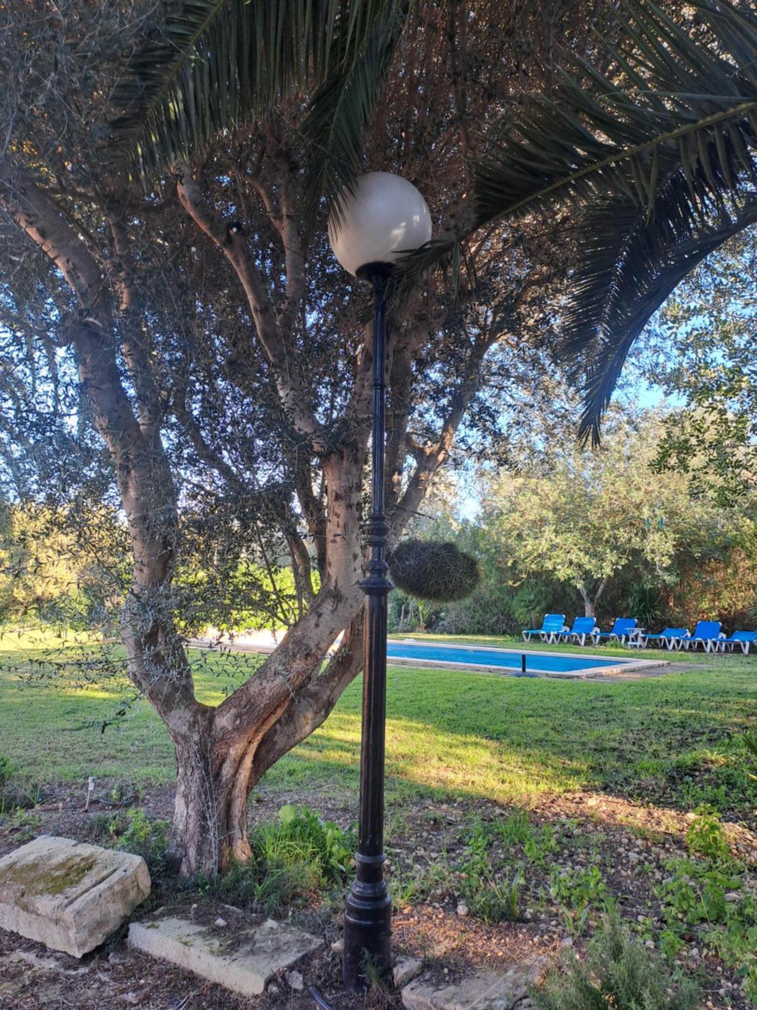 Es Garballons Manacor  Esterno foto